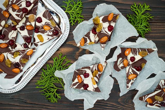 Holiday chocolate bark with dried fruits and nuts
