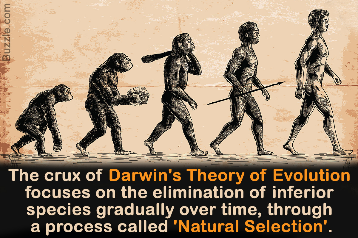 Example of secular education: Darwin's Theory of Evolution that claims evolution doesn't involve God but only 'Natural Selection'