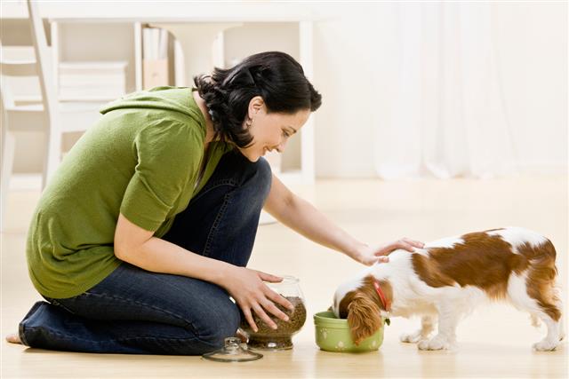 Woman Feeding Puppy