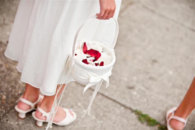Flower Girl with Basket of White and Red Rose Petals