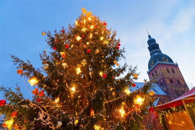 Christmas tree in Riga's Christmas market