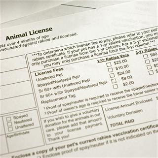 Animal License Application and Rabies Certificate