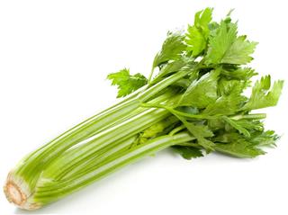 Celery green vegetable