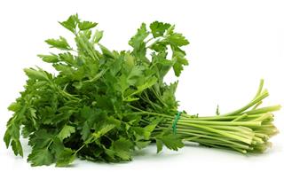 Italian parsley