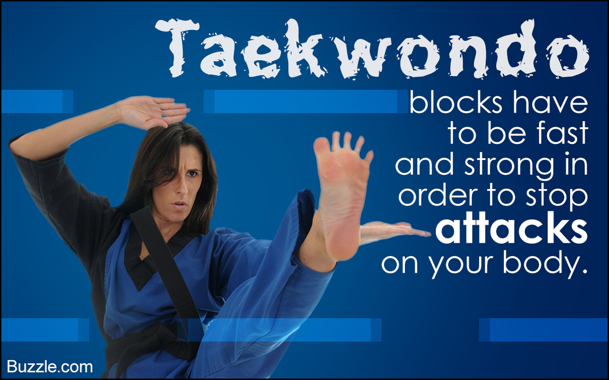 Taekwondo Moves