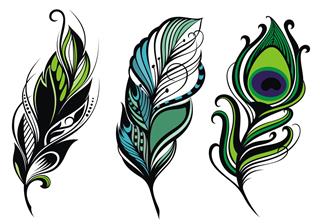 Set of feathers Tattoo Design