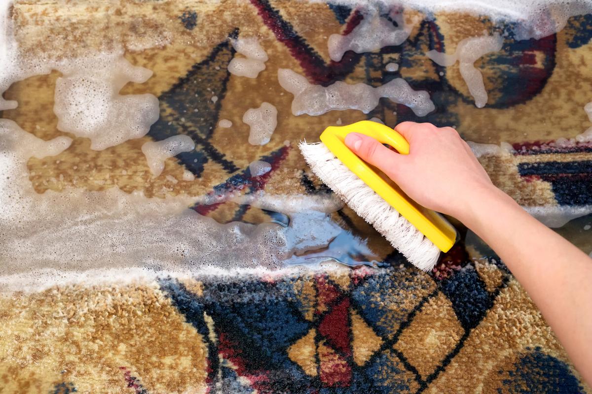 How to Remove Odor from Carpet - Home Quicks