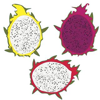 Varieties of Dragon fruit