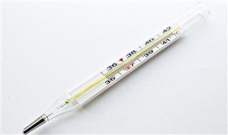 Fahrenheit Mercury Thermometer