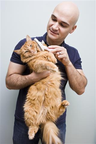 Cat and Pet Grooming
