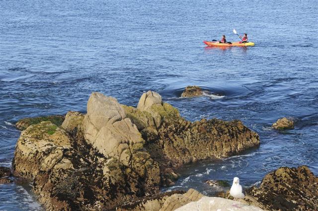Kayaking in Monterey Bay, near Lover's Point