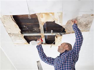 Man cleaning mold on ceiling