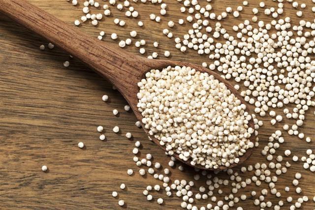 Quinoa seeds in a wooden spoon