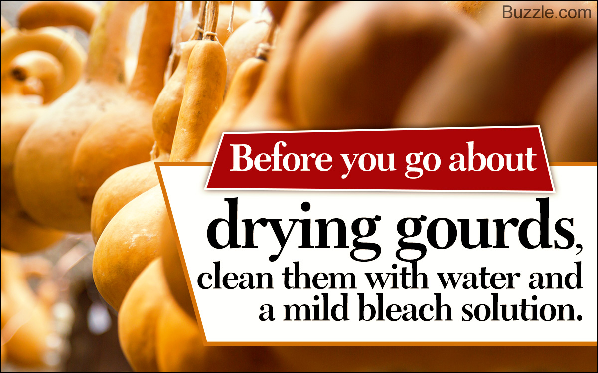 How to Dry Gourds