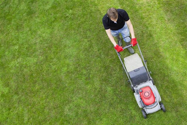 Man on green lawn with push mower