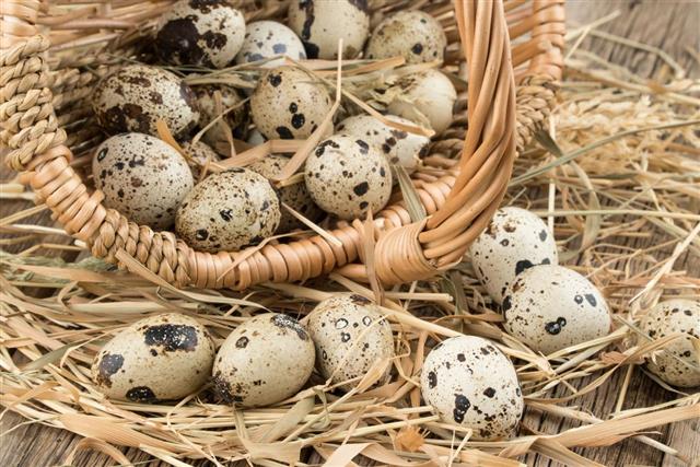 Quail eggs in a basket on old wooden table