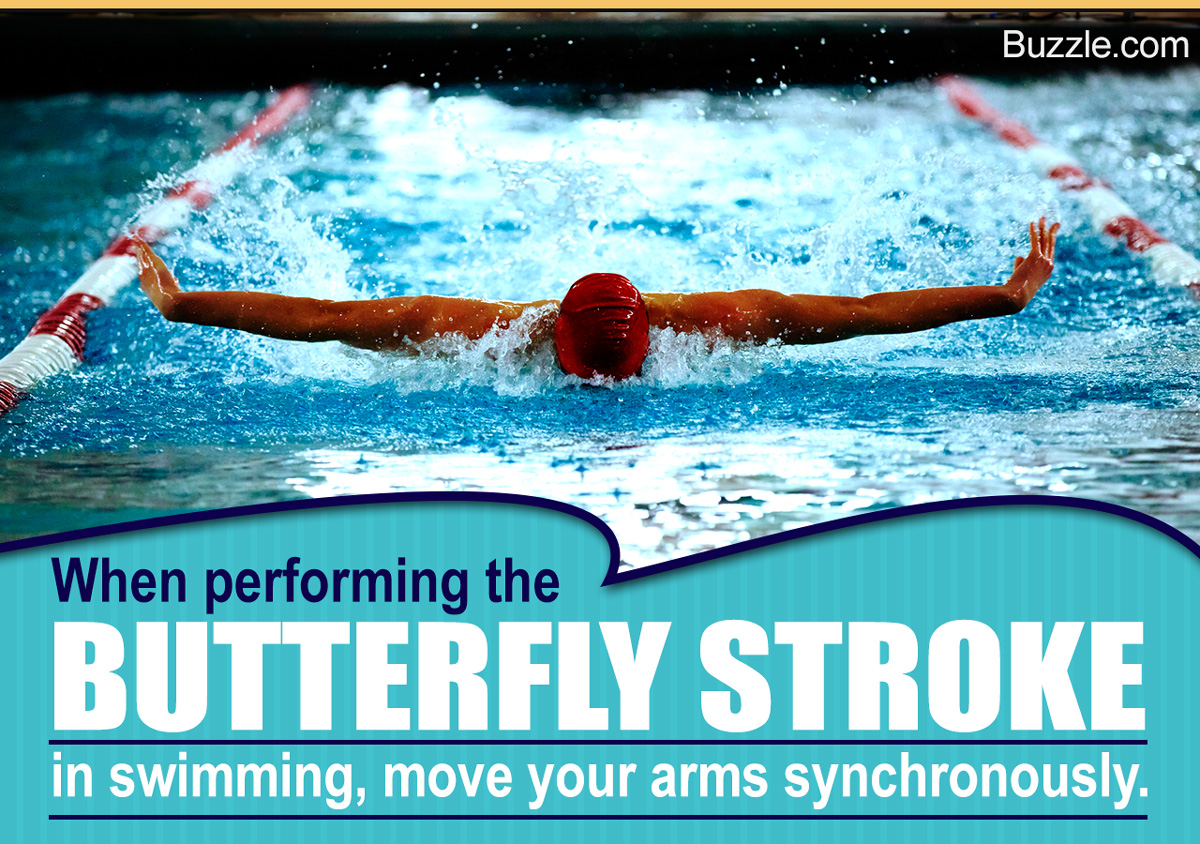Butterfly Swimming Technique