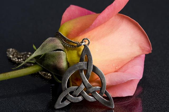 Rose and celtic love knot