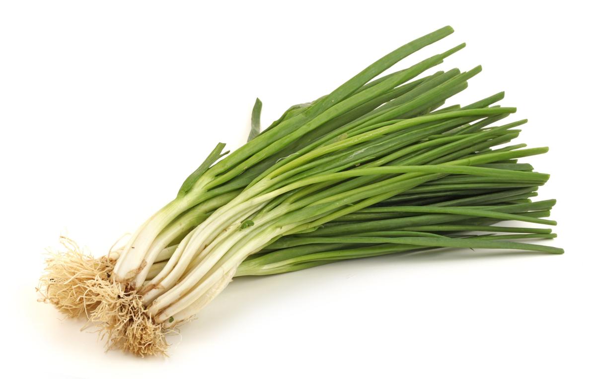 Scallions Vs Green Onions Tastessence,White Asparagus Growing