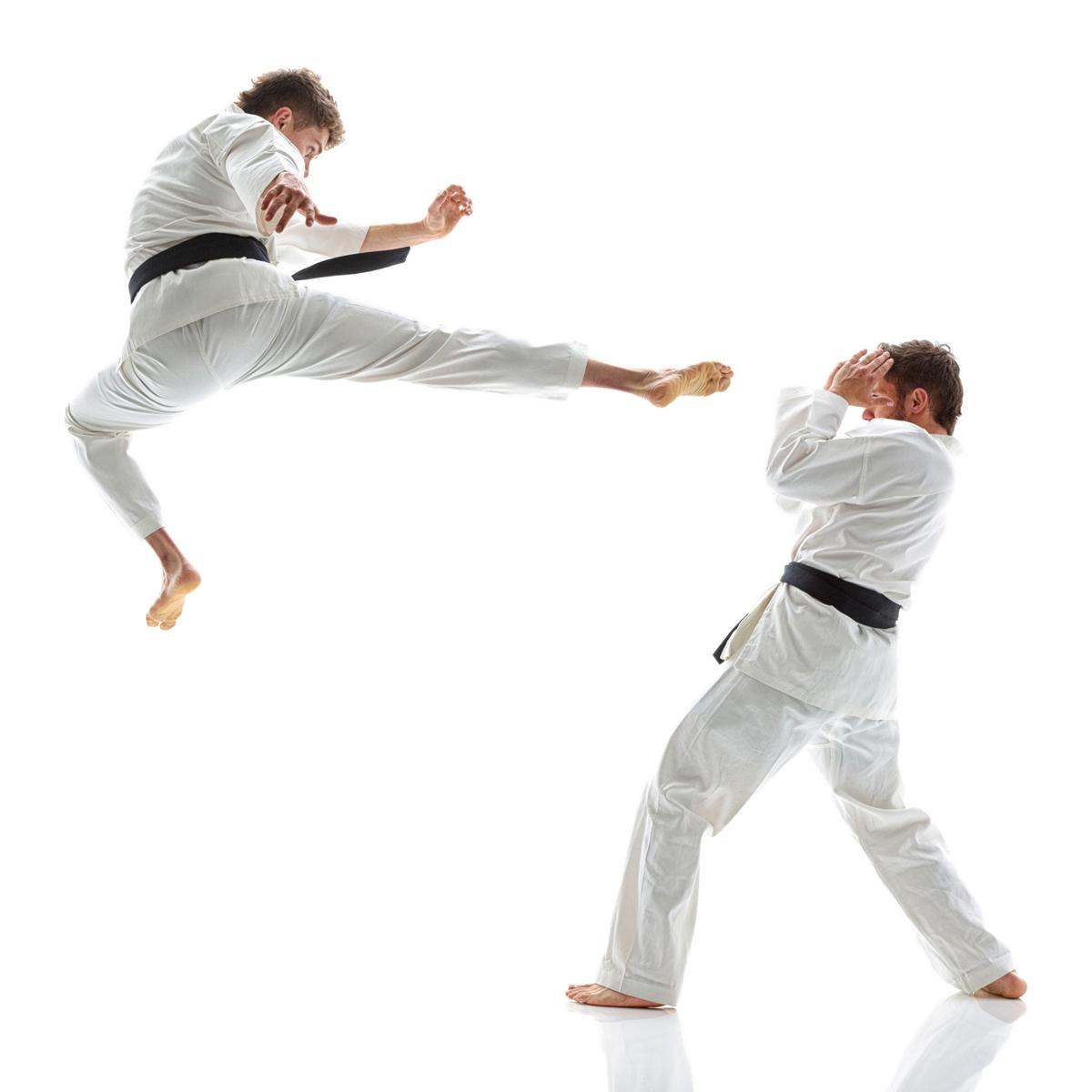 karate moves and techniques
