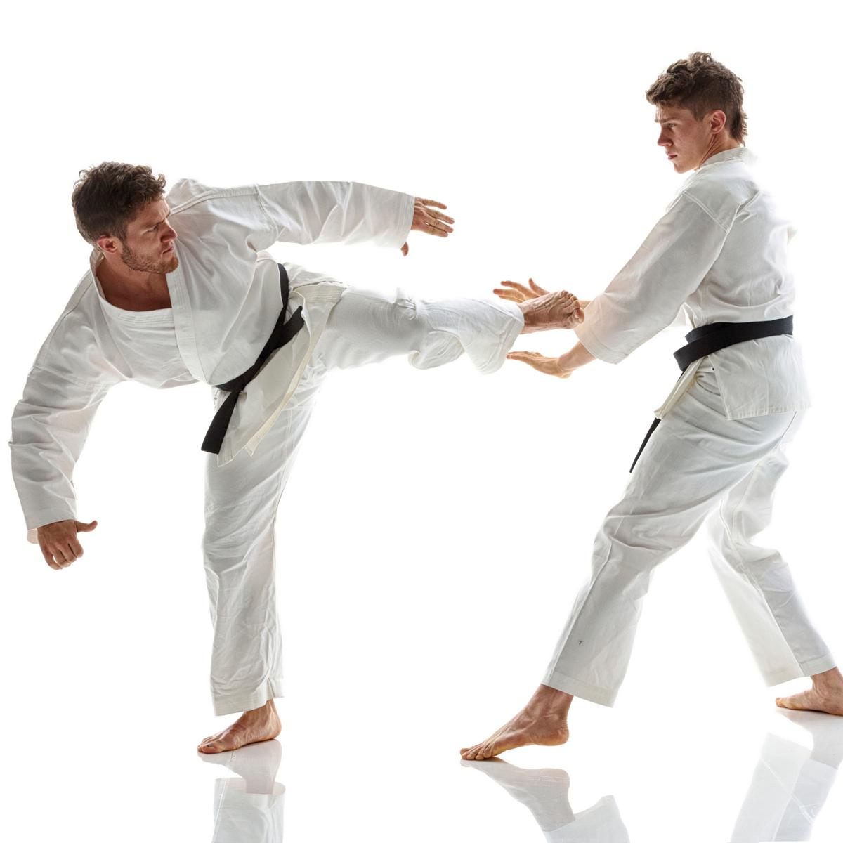 Karate Moves - A Guide to the Basic Blocks, Strikes, and Kicks - Sports ...