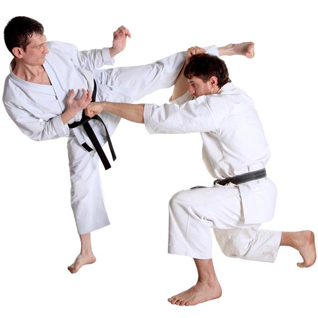 Karate Striking