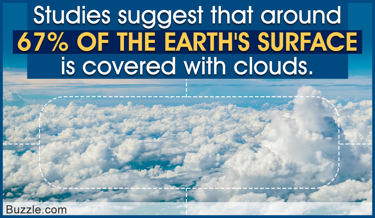 Cumulus Cloud Facts