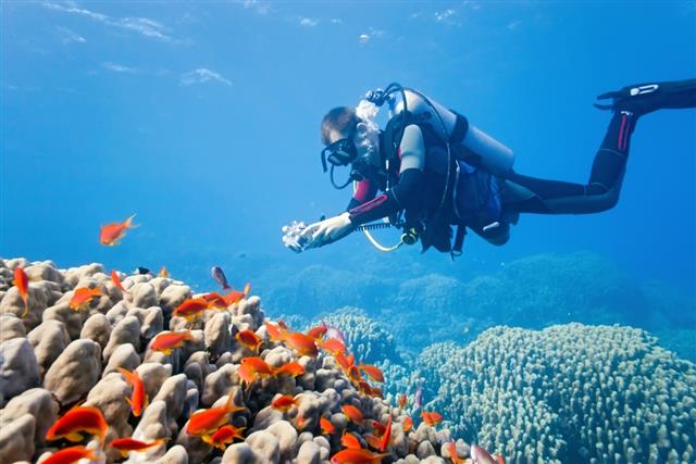 Photographer on the coral reef