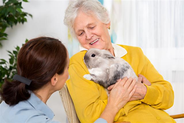 Pet Therapy ??? Senior woman with rabbit at home