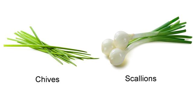 Chives And Scallions