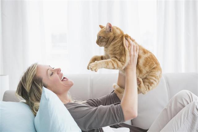 woman lying on sofa holding a cat