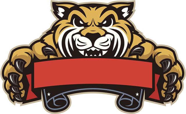 Bobcat Mascot Banner