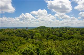 View of Tikal Ruins and pyramids above the trees