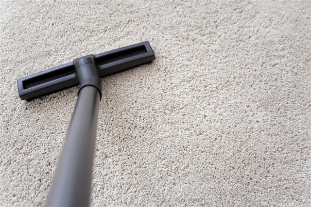 Vacuum cleaner nozzle on carpet