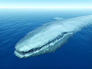 Blue whale in underwater
