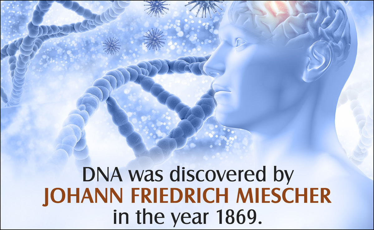importance of dna