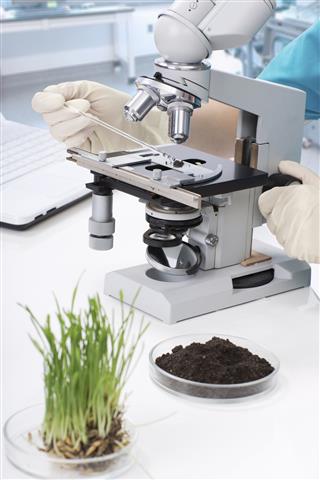 equipment and a sample of dirt in the laboratory