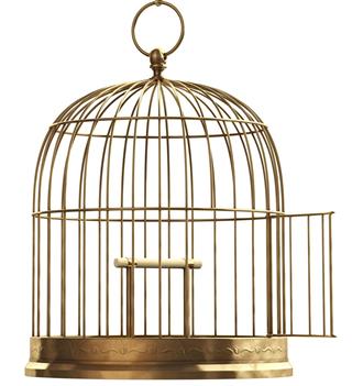 Open Bird Cage
