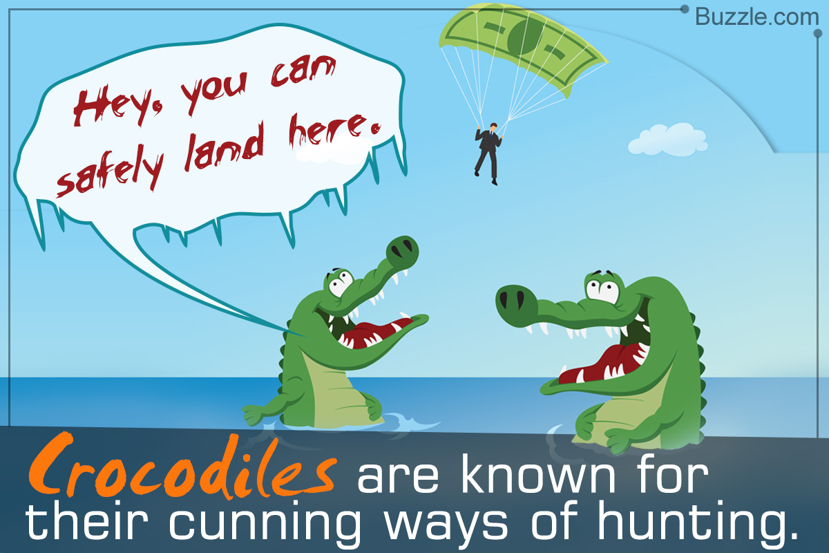 Where do Crocodiles Live?