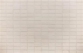 Brick Wall Ceramic Tile Floor