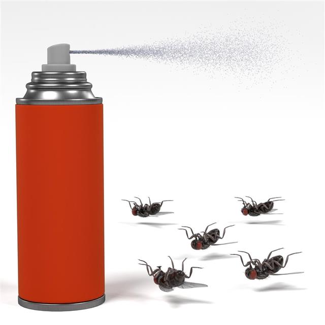spray killing insect