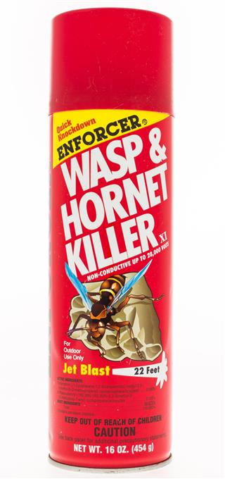 Enforcer Wasp and Hornet Killer