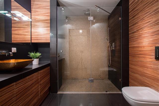 Luxury modern bathroom shower
