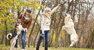 Cheerful Young Women With Dogs Having Fun outdoors