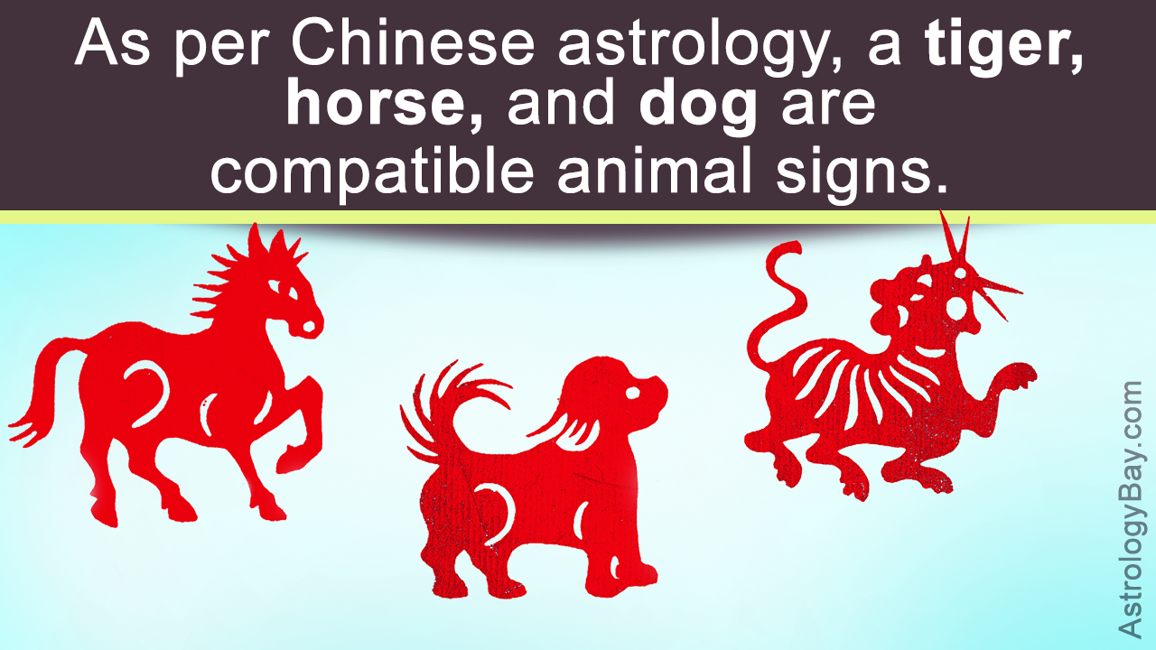 Astrology Compatibility by Birthdate