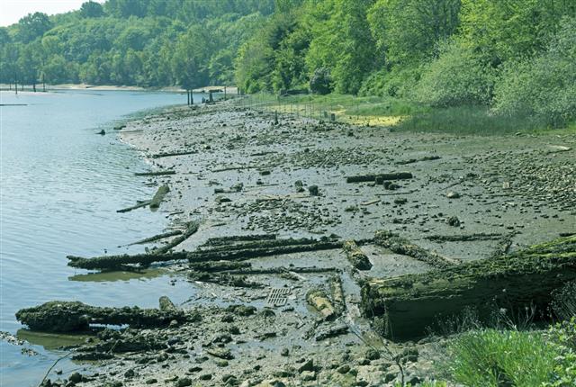 Beach at low tide in estuary being restored