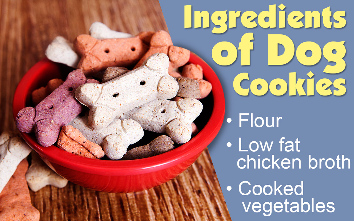Low Protein Dog Food Recipes