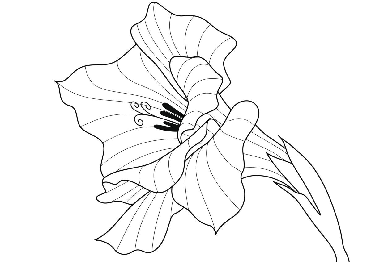 30 Best Gladiolus Tattoo Ideas  Read This First