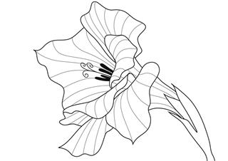 gladiolus Flower Tattoo