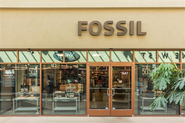 Fossil Store